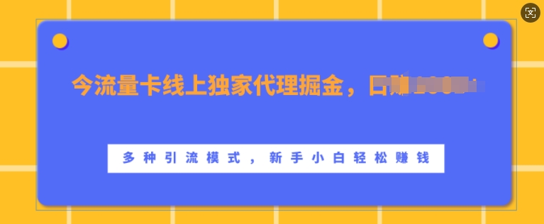 流量卡线上独家代理掘金，日入1k+ ，多种引流模式，新手小白轻松上手【揭秘】-游客之家