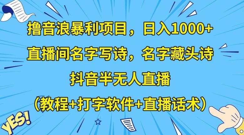 撸音浪暴利项目，日入1000+，直播间名字写诗，名字藏头诗，抖音半无人直播（教程+打字软件+直播话术）【揭秘】-游客之家