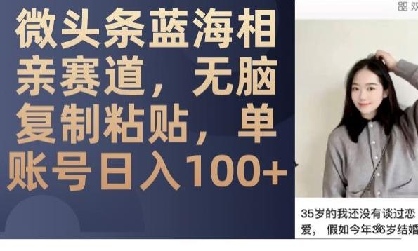 微头条蓝海相亲赛道，无脑复制粘贴，单账号日入100+-游客之家