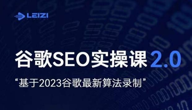 雷子·谷歌SEO 2.0实战课，独立站询盘自由必备，基于2023谷歌最新算法录制-游客之家