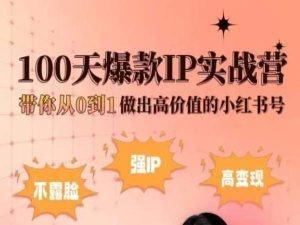 小红书100天爆款IP实战营，带你从0到1做出高价值的小红书号-游客之家