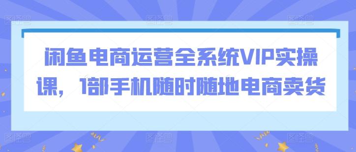 闲鱼电商运营全系统VIP实操课，1部手机随时随地电商卖货-游客之家