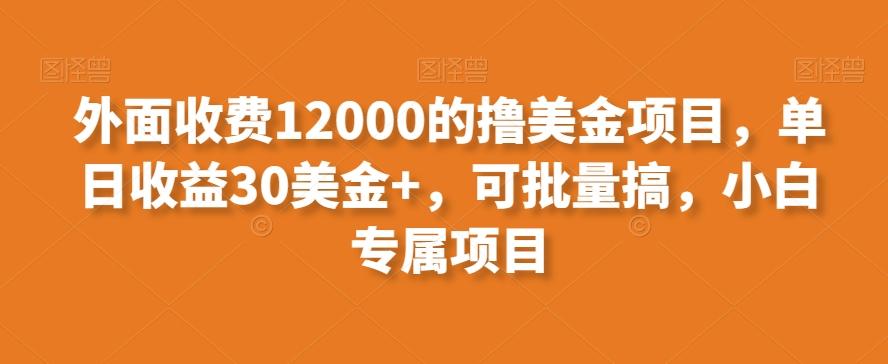 外面收费12000的撸美金项目，单日收益30美金+，可批量搞，小白专属项目-游客之家