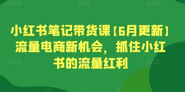 小红书笔记带货课【6月更新】流量电商新机会，抓住小红书的流量红利-游客之家