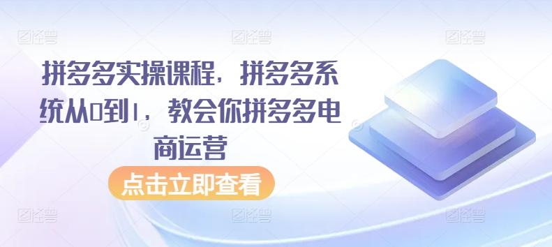 拼多多实操课程，拼多多系统从0到1，教会你拼多多电商运营-游客之家