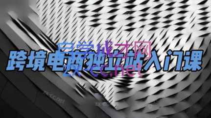 团长·跨境电商独立站入门课(2小时精华)-游客之家