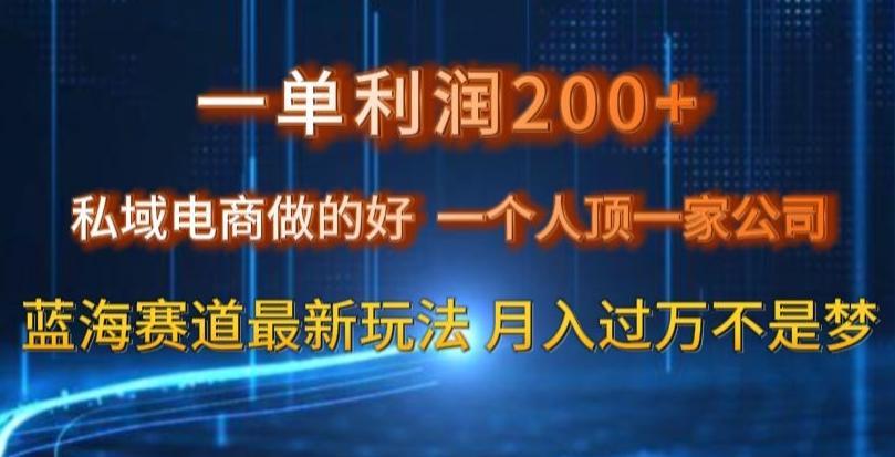 一单利润200私域电商做的好，一个人顶一家公司蓝海赛道最新玩法【揭秘】-游客之家