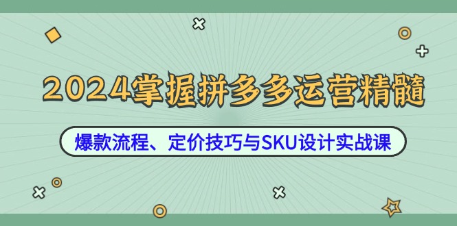 2024掌握拼多多运营精髓：爆款流程、定价技巧与SKU设计实战课-游客之家