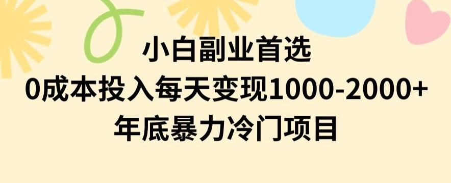 小白副业首选，0成本投入，每天变现1000-2000年底暴力冷门项目【揭秘】-游客之家