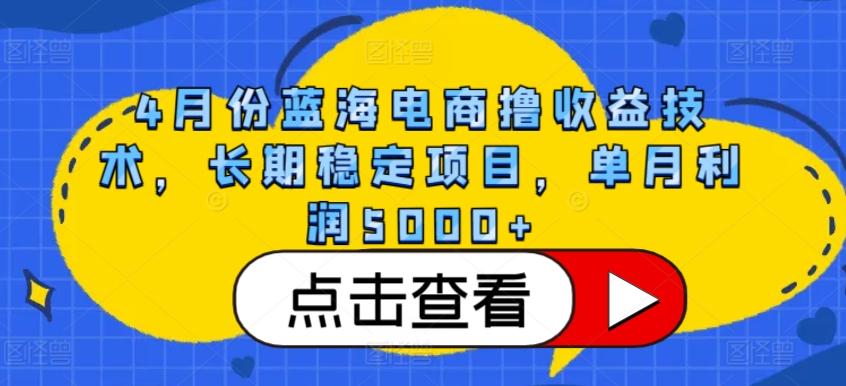 4月份蓝海电商撸收益技术，长期稳定项目，单月利润5000+【揭秘】-游客之家