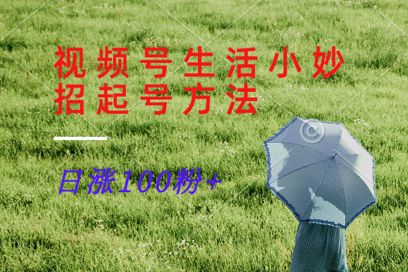 视频号生活小妙招分享赛道， 起号涨粉新方法，日涨100粉-游客之家