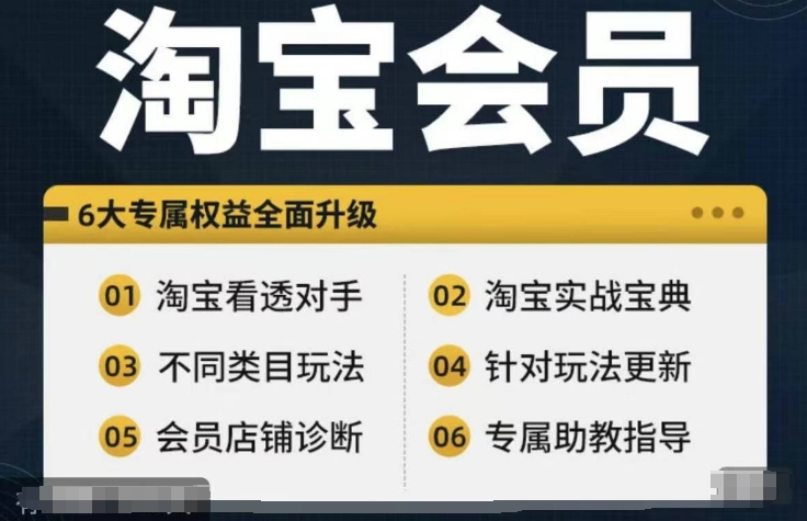 淘宝会员【淘宝所有课程，全面分析对手】，初级到高手全系实战宝典-游客之家