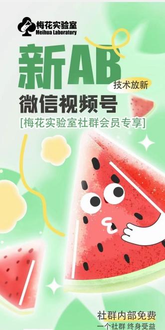 梅花实验室2024年AB技术视频号AB合成破解版-游客之家