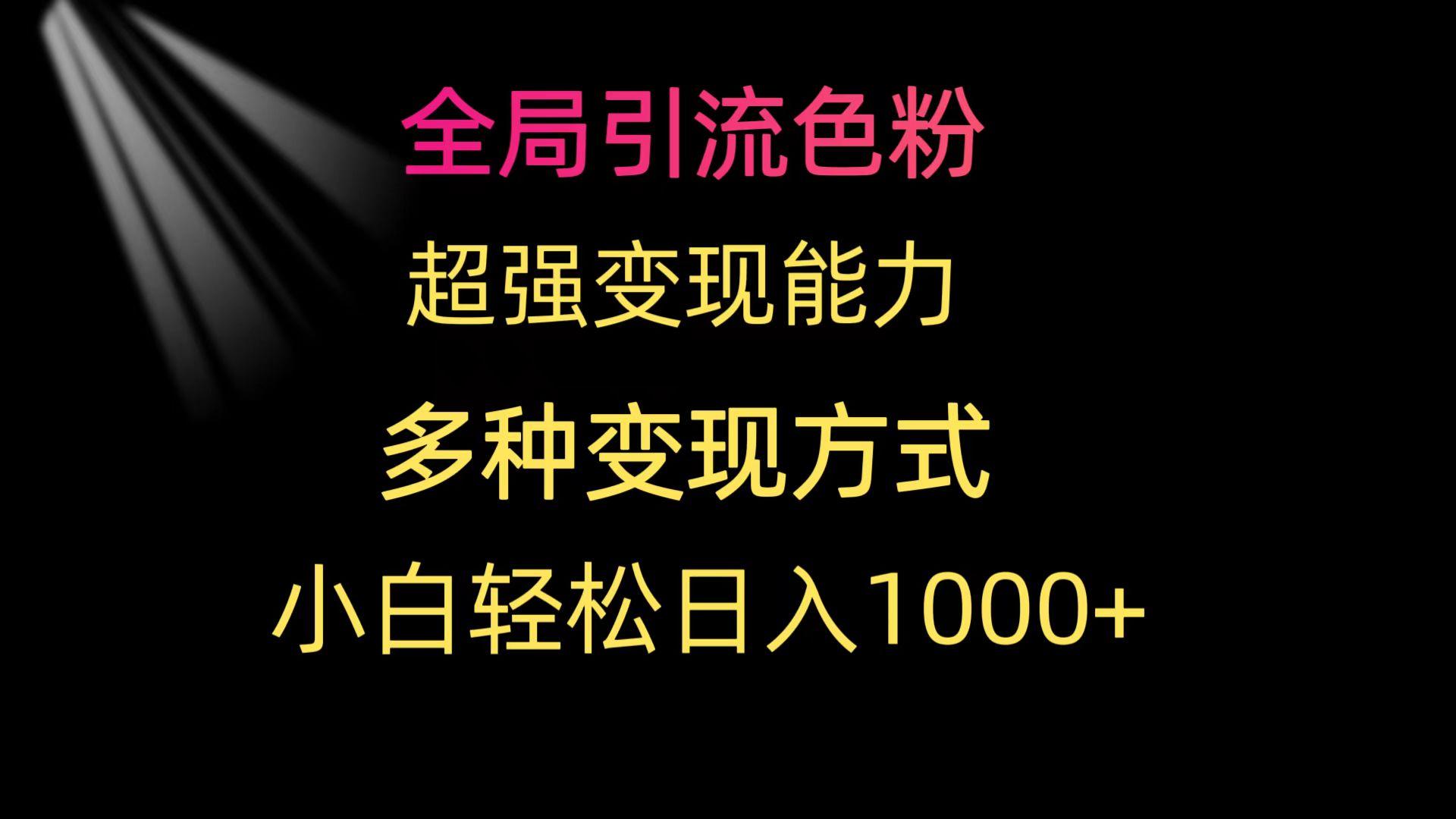 (9680期)全局引流色粉 超强变现能力 多种变现方式 小白轻松日入1000+-游客之家