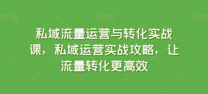 私域流量运营与转化实战课，私域运营实战攻略，让流量转化更高效-游客之家