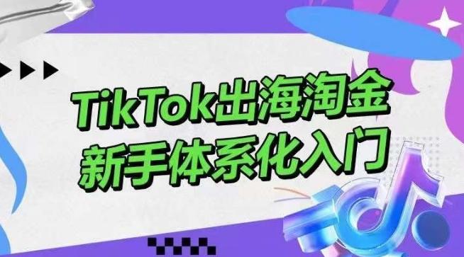 TikTok出海淘金，新手体系化入门，零基础快速入门，掌握短视频、直播带货等引流到变现的知识-游客之家