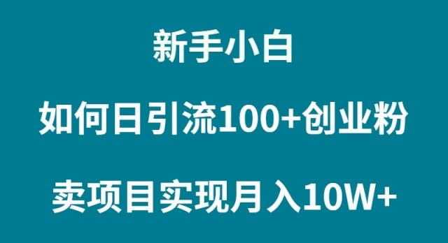 (9556期)新手小白如何通过卖项目实现月入10W+-游客之家