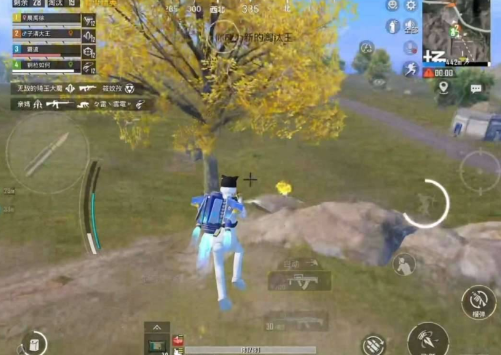 和平精英上色-强锁自瞄-游客之家