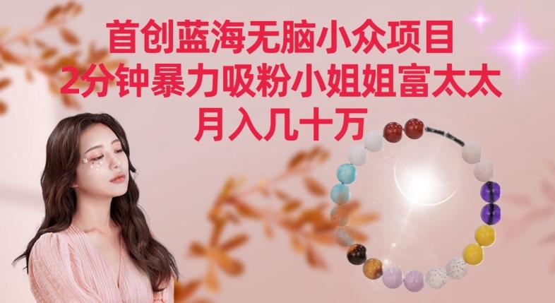 首创蓝海无脑小众项目，2分钟暴力吸粉小姐姐富太太，月入几十万【揭秘】-游客之家