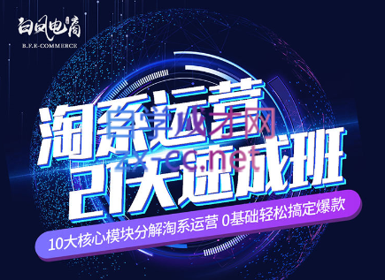 淘系运营21天速成班(更新24年6月)-游客之家