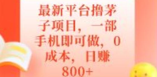 最新平台撸茅子项目，一部手机即可做，0成本，日赚800+-游客之家