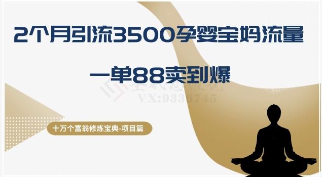 十万个富翁修炼宝典之13.2个月引流3500孕婴宝妈流量，一单88卖到爆-游客之家