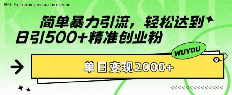 简单暴力引流，轻松达到日引500+精准创业粉，单日变现2k【揭秘】-游客之家