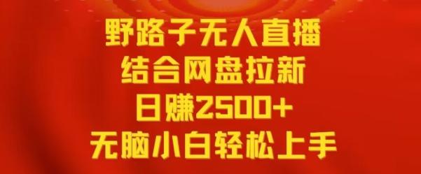 野路子无人直播结合网盘拉新，日赚2500+，小白无脑轻松上手【揭秘】-游客之家
